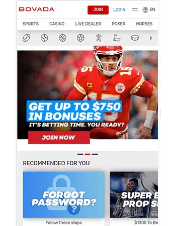 8 Top Online Sportsbooks & USA Sport.
